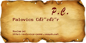 Palovics Cézár névjegykártya
